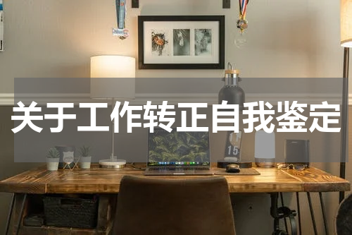 关于工作转正自我鉴定