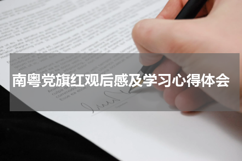 南粤党旗红观后感及学习心得体会