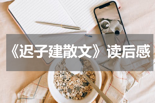 《迟子建散文》读后感