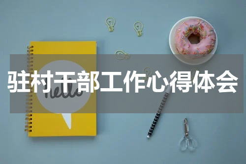 驻村干部工作心得体会