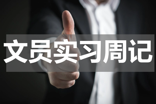 文员实习周记