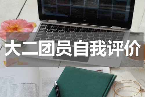 大二团员自我评价