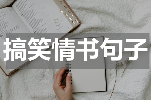 搞笑情书句子