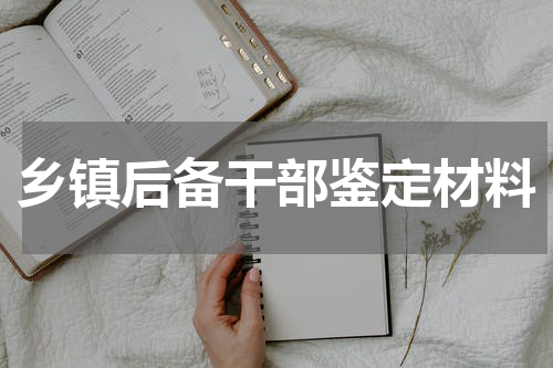 乡镇后备干部鉴定材料