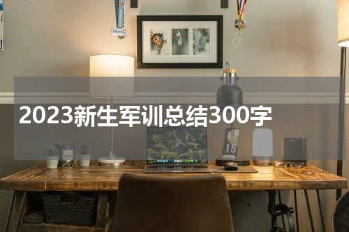 2023新生军训总结300字