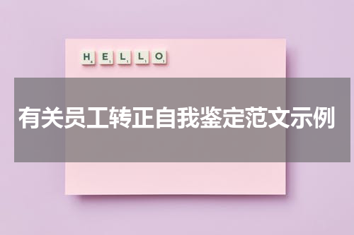有关员工转正自我鉴定范文示例
