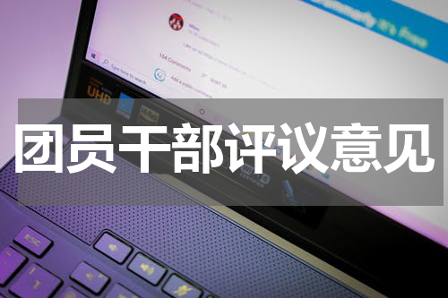 团员干部评议意见