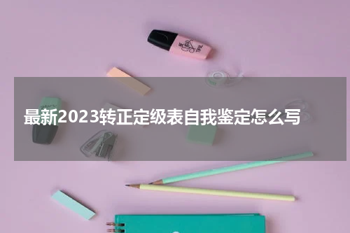 最新2023转正定级表自我鉴定怎么写