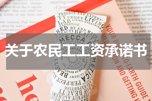 关于农民工工资承诺书