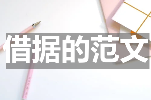 借据的范文