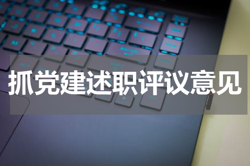抓党建述职评议意见