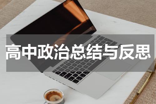 高中政治总结与反思