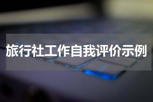 旅行社工作自我评价示例