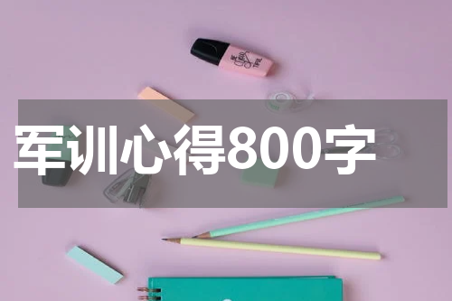 军训心得800字