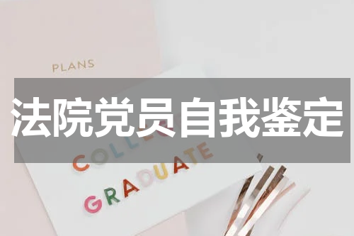 法院党员自我鉴定