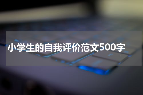 小学生的自我评价范文500字
