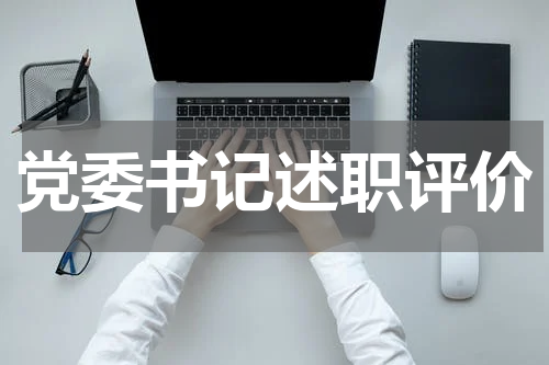 党委书记述职评价
