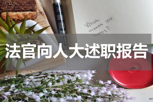 法官向人大述职报告