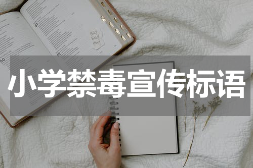 小学禁毒宣传标语