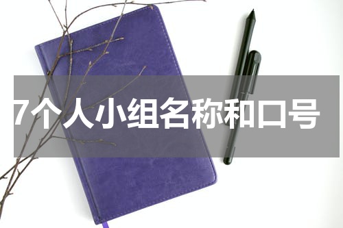 7个人小组名称和口号