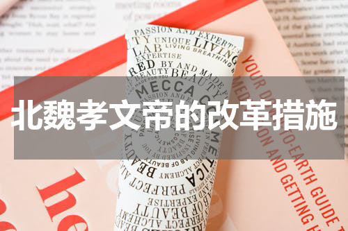 北魏孝文帝的改革措施