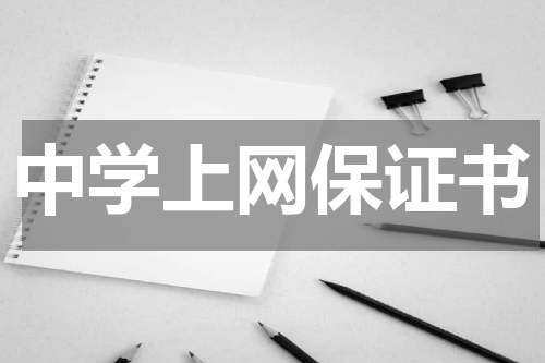 中学上网保证书