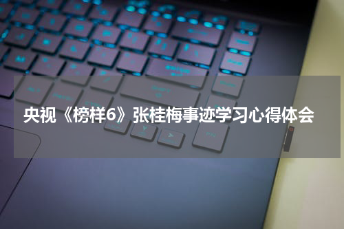 央视《榜样6》张桂梅事迹学习心得体会