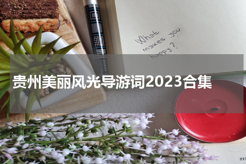 贵州美丽风光导游词2023合集