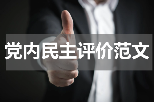 党内民主评价范文