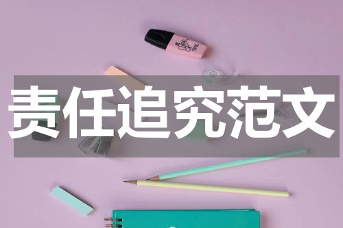 责任追究范文