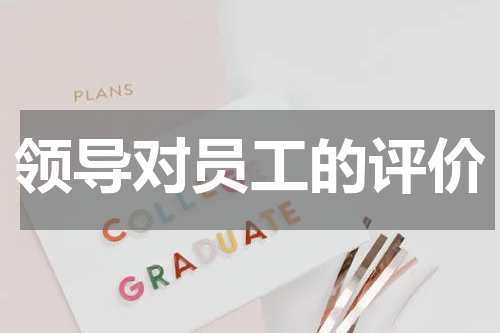 领导对员工的评价