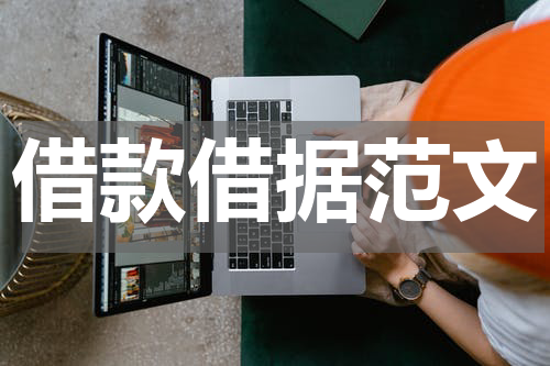 借款借据范文