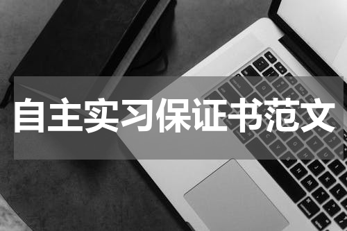 自主实习保证书范文