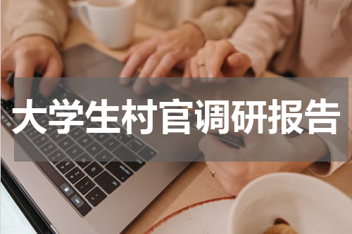 大学生村官调研报告