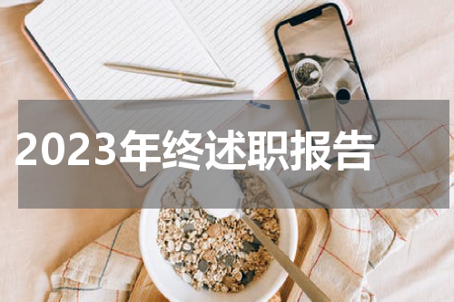 2023年终述职报告