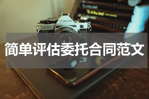 简单评估委托合同范文