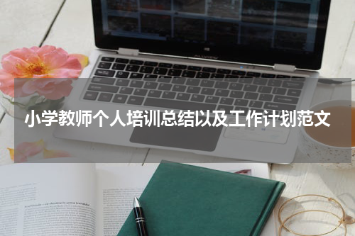 小学教师个人培训总结以及工作计划范文