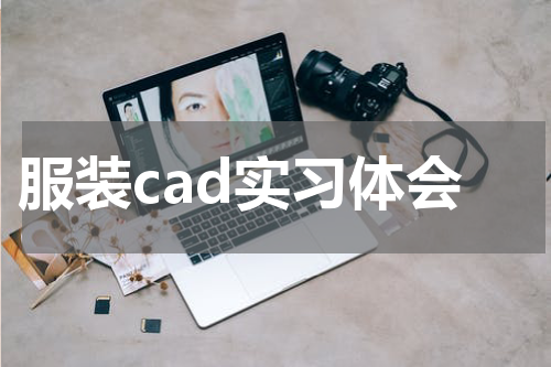 服装cad实习体会