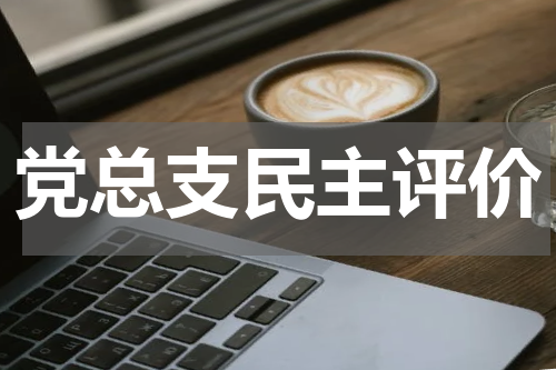 党总支民主评价