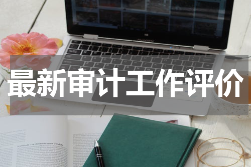 最新审计工作评价