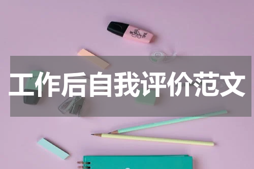 工作后自我评价范文