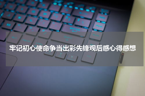 牢记初心使命争当出彩先锋观后感心得感想