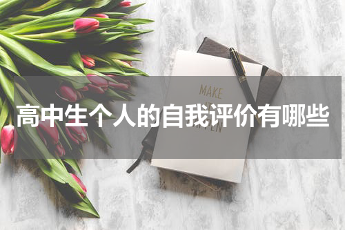 高中生个人的自我评价有哪些