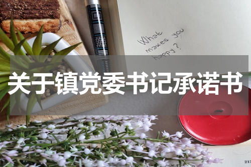关于镇党委书记承诺书