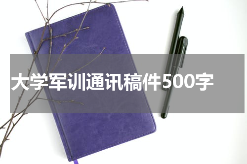 大学军训通讯稿件500字