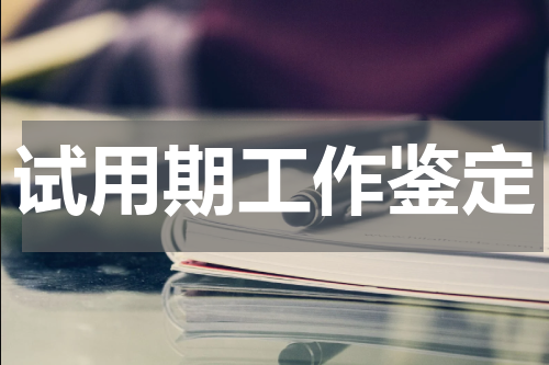 试用期工作鉴定