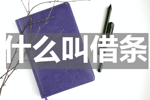 什么叫借条
