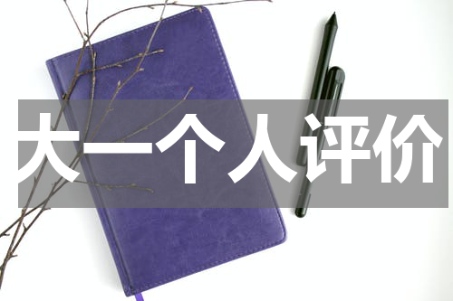 大一个人评价