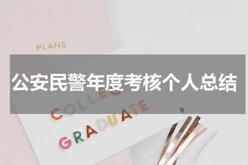 公安民警年度考核个人总结