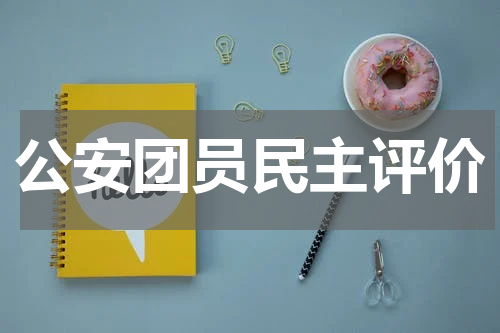 公安团员民主评价
